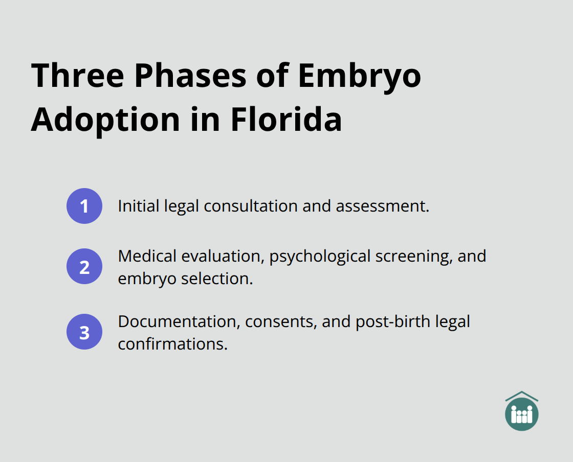 Compact roadmap outlining the three phases of embryo adoption. - embryo adoption process