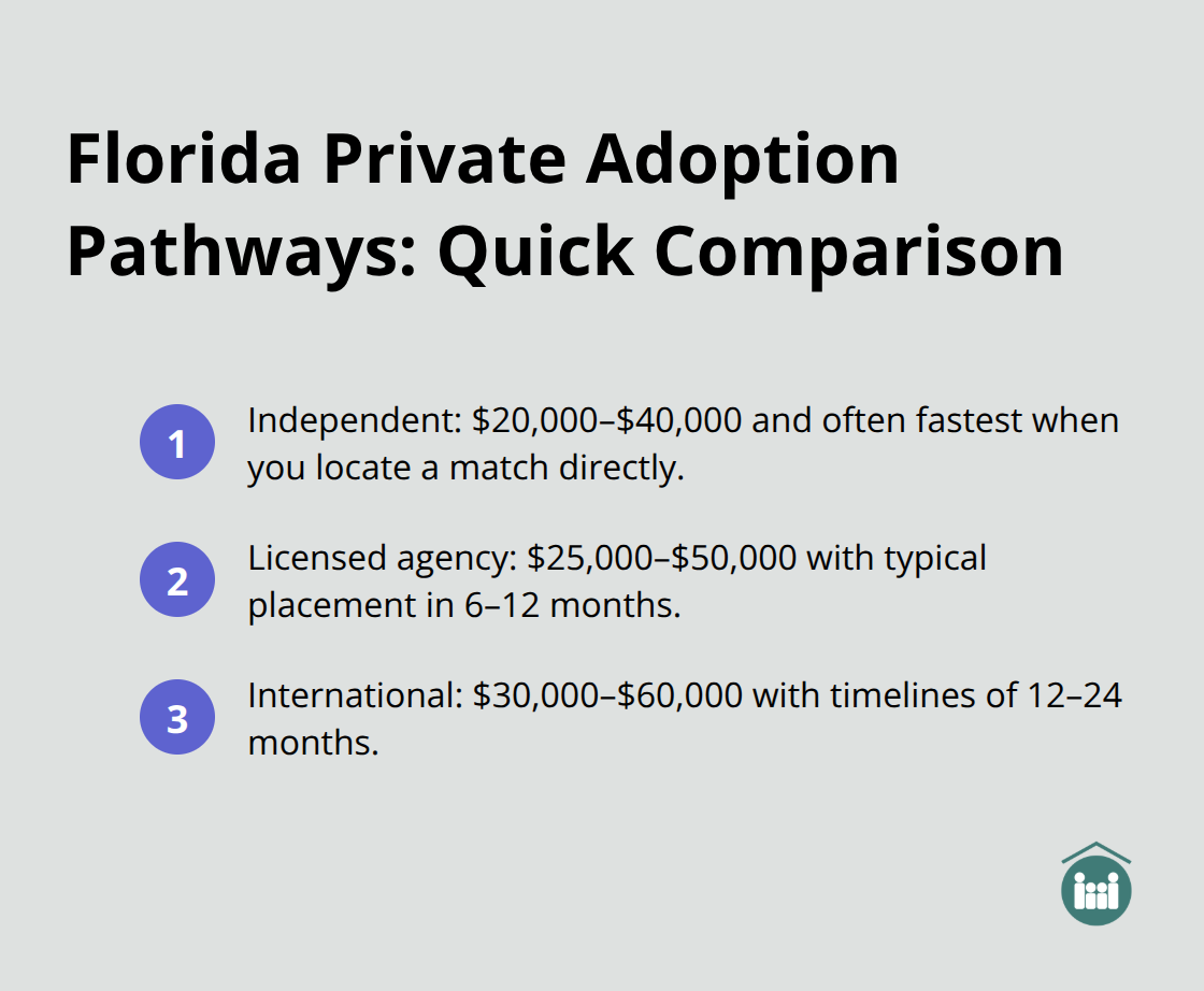 Compact comparison of independent, agency, and international adoption costs and timelines.