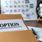 How Long Can the Adoption Process Take?